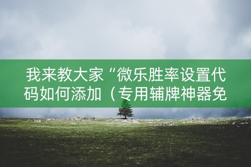 我来教大家“微乐胜率设置代码如何添加（专用辅牌神器免安装）