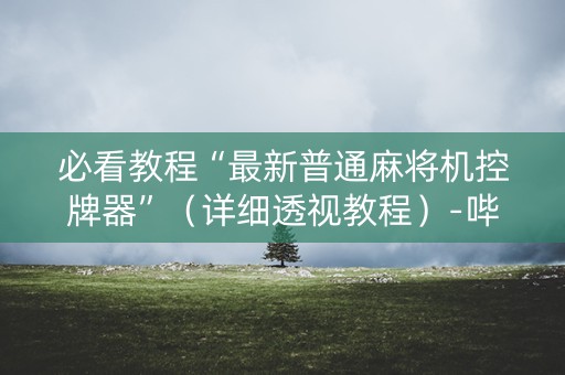必看教程“最新普通麻将机控牌器”（详细透视教程）-哔哩哔哩