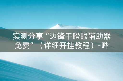 实测分享“边锋干瞪眼辅助器免费”（详细开挂教程）-哔哩哔哩