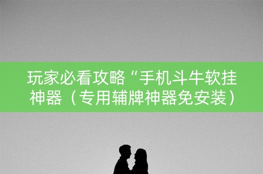 玩家必看攻略“手机斗牛软挂神器（专用辅牌神器免安装）