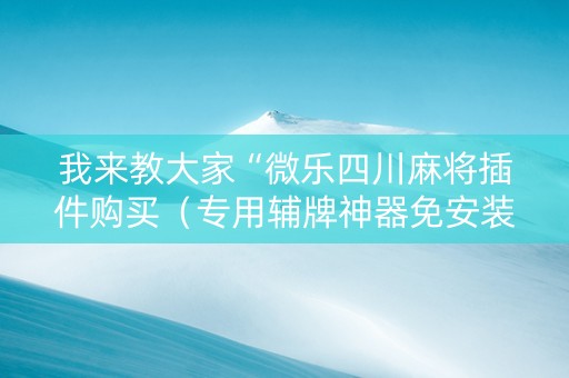 我来教大家“微乐四川麻将插件购买（专用辅牌神器免安装）