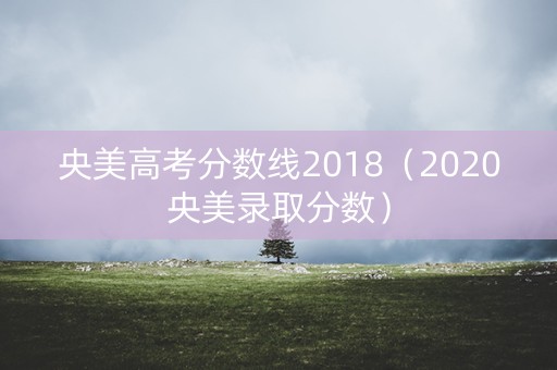 央美高考分数线2018（2020央美录取分数）