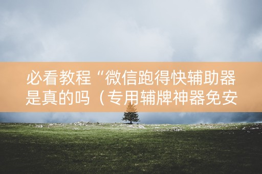 必看教程“微信跑得快辅助器是真的吗（专用辅牌神器免安装）