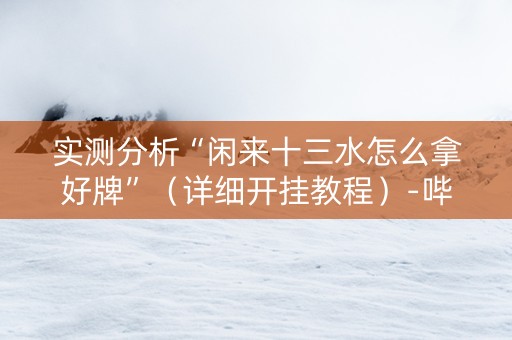 实测分析“闲来十三水怎么拿好牌”（详细开挂教程）-哔哩哔哩