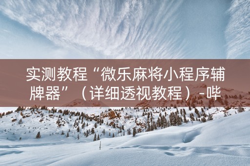 实测教程“微乐麻将小程序辅牌器”（详细透视教程）-哔哩哔哩