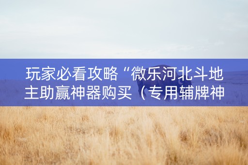 玩家必看攻略“微乐河北斗地主助赢神器购买（专用辅牌神器免安装）