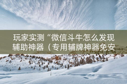 玩家实测“微信斗牛怎么发现辅助神器（专用辅牌神器免安装）