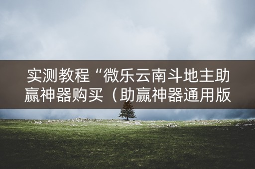 实测教程“微乐云南斗地主助赢神器购买（助赢神器通用版）