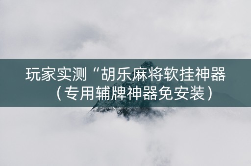 玩家实测“胡乐麻将软挂神器（专用辅牌神器免安装）