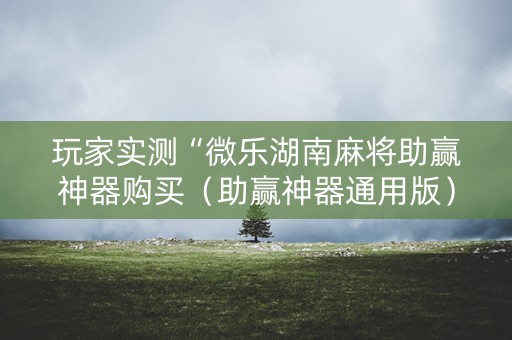 玩家实测“微乐湖南麻将助赢神器购买（助赢神器通用版）