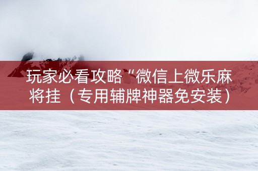 玩家必看攻略“微信上微乐麻将挂（专用辅牌神器免安装）
