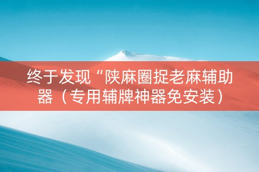 终于发现“陕麻圈捉老麻辅助器（专用辅牌神器免安装）