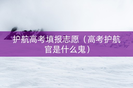 护航高考填报志愿（高考护航官是什么鬼）