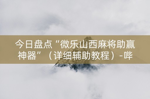 今日盘点“微乐山西麻将助赢神器”（详细辅助教程）-哔哩哔哩