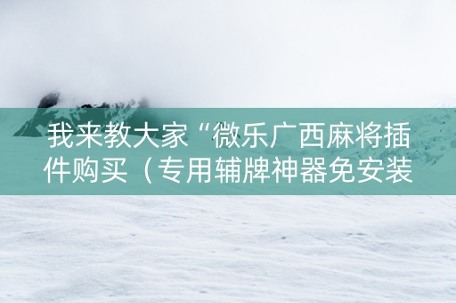我来教大家“微乐广西麻将插件购买（专用辅牌神器免安装）