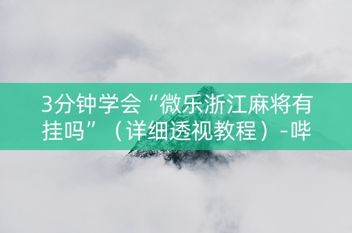 3分钟学会“微乐浙江麻将有挂吗”（详细透视教程）-哔哩哔哩