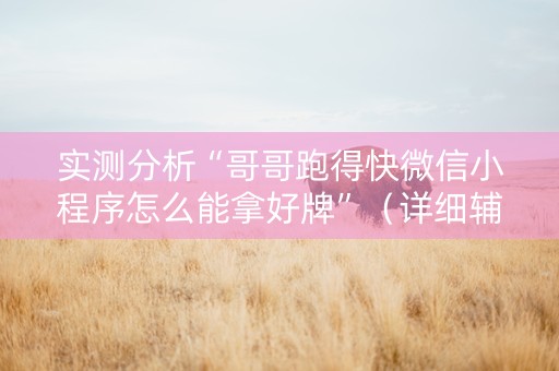 实测分析“哥哥跑得快微信小程序怎么能拿好牌”（详细辅助教程）-哔哩哔哩