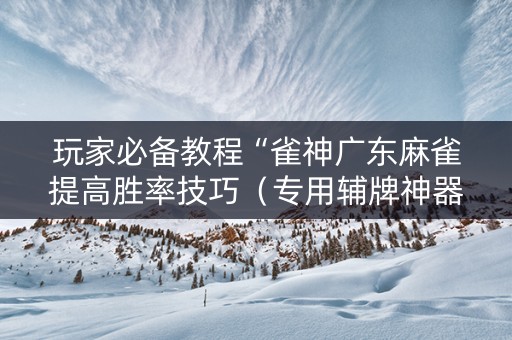 玩家必备教程“雀神广东麻雀提高胜率技巧（专用辅牌神器免安装）