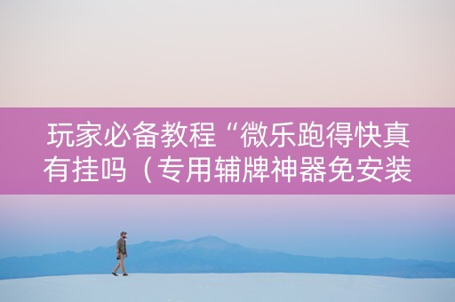 玩家必备教程“微乐跑得快真有挂吗（专用辅牌神器免安装）