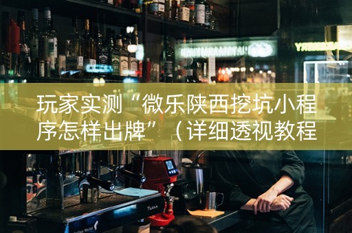 玩家实测“微乐陕西挖坑小程序怎样出牌”（详细透视教程）-哔哩哔哩