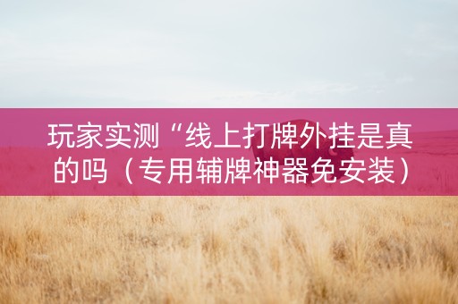 玩家实测“线上打牌外挂是真的吗（专用辅牌神器免安装）