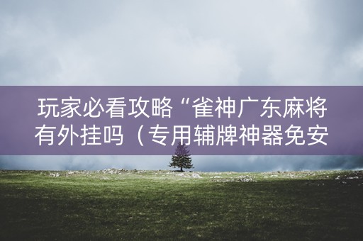 玩家必看攻略“雀神广东麻将有外挂吗（专用辅牌神器免安装）