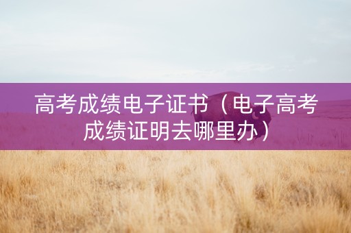 高考成绩电子证书（电子高考成绩证明去哪里办）