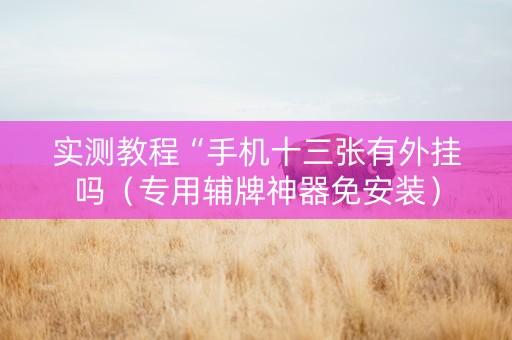 实测教程“手机十三张有外挂吗（专用辅牌神器免安装）
