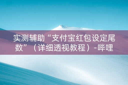 实测辅助“支付宝红包设定尾数”（详细透视教程）-哔哩哔哩