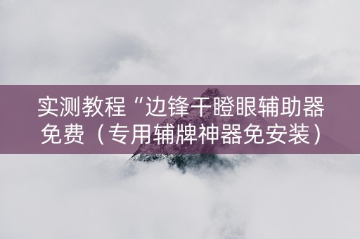 实测教程“边锋干瞪眼辅助器免费（专用辅牌神器免安装）