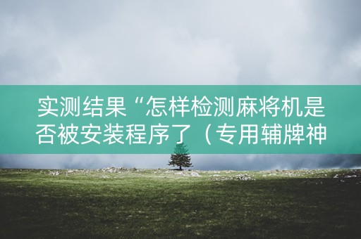 实测结果“怎样检测麻将机是否被安装程序了（专用辅牌神器免安装）