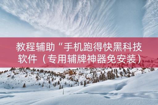 教程辅助“手机跑得快黑科技软件（专用辅牌神器免安装）