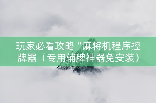 玩家必看攻略“麻将机程序控牌器（专用辅牌神器免安装）