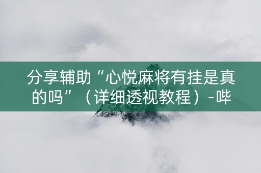 分享辅助“心悦麻将有挂是真的吗”（详细透视教程）-哔哩哔哩