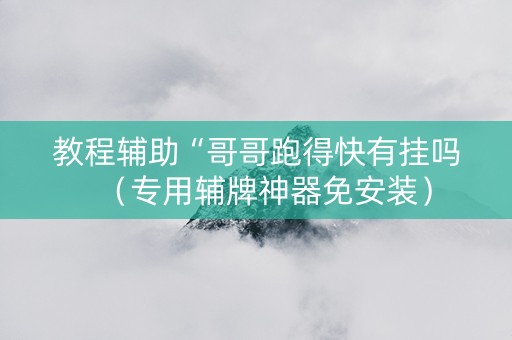 教程辅助“哥哥跑得快有挂吗（专用辅牌神器免安装）