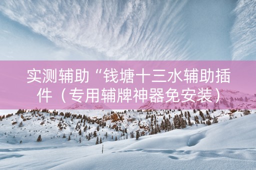 实测辅助“钱塘十三水辅助插件（专用辅牌神器免安装）