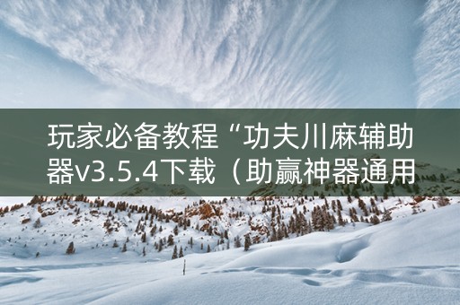 玩家必备教程“功夫川麻辅助器v3.5.4下载（助赢神器通用版）