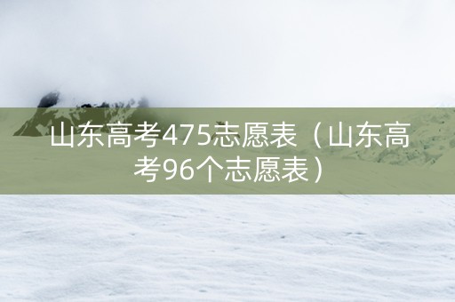 山东高考475志愿表（山东高考96个志愿表）