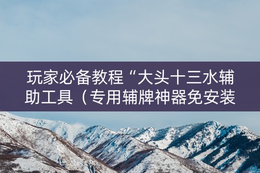 玩家必备教程“大头十三水辅助工具（专用辅牌神器免安装）