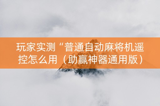 玩家实测“普通自动麻将机遥控怎么用（助赢神器通用版）