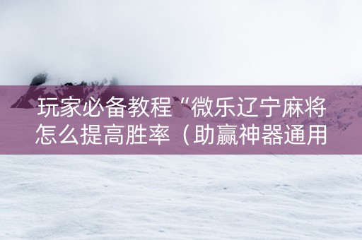 玩家必备教程“微乐辽宁麻将怎么提高胜率（助赢神器通用版）