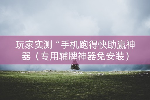玩家实测“手机跑得快助赢神器（专用辅牌神器免安装）