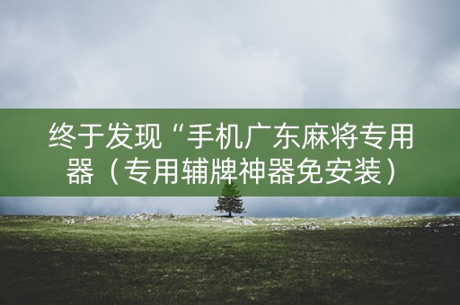 终于发现“手机广东麻将专用器（专用辅牌神器免安装）