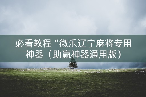 必看教程“微乐辽宁麻将专用神器（助赢神器通用版）