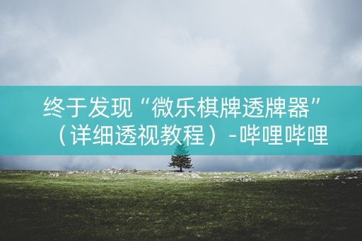 终于发现“微乐棋牌透牌器”（详细透视教程）-哔哩哔哩