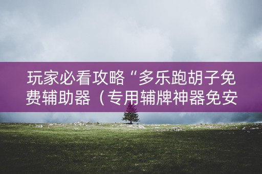 玩家必看攻略“多乐跑胡子免费辅助器（专用辅牌神器免安装）