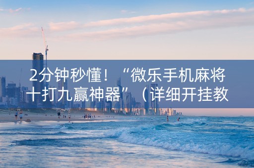 2分钟秒懂！“微乐手机麻将十打九赢神器”（详细开挂教程）-哔哩哔哩