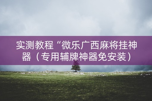 实测教程“微乐广西麻将挂神器（专用辅牌神器免安装）