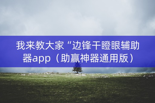 我来教大家“边锋干瞪眼辅助器app（助赢神器通用版）