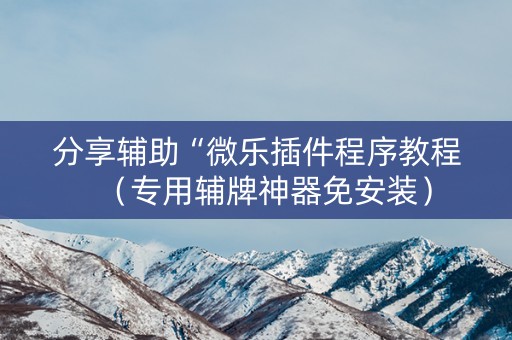 分享辅助“微乐插件程序教程（专用辅牌神器免安装）
